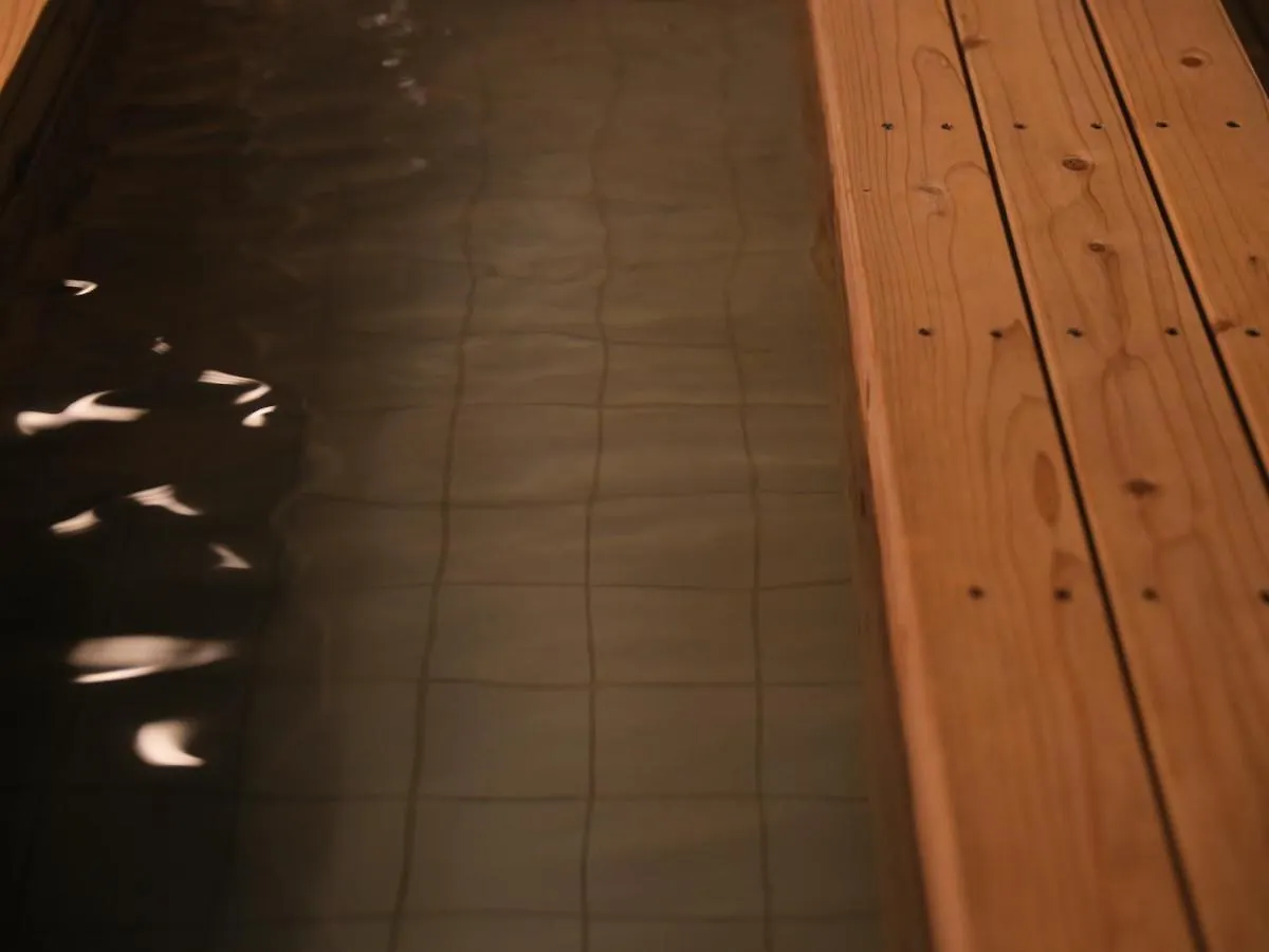 Ryokan Hot Spring Inn Hakone Suisen