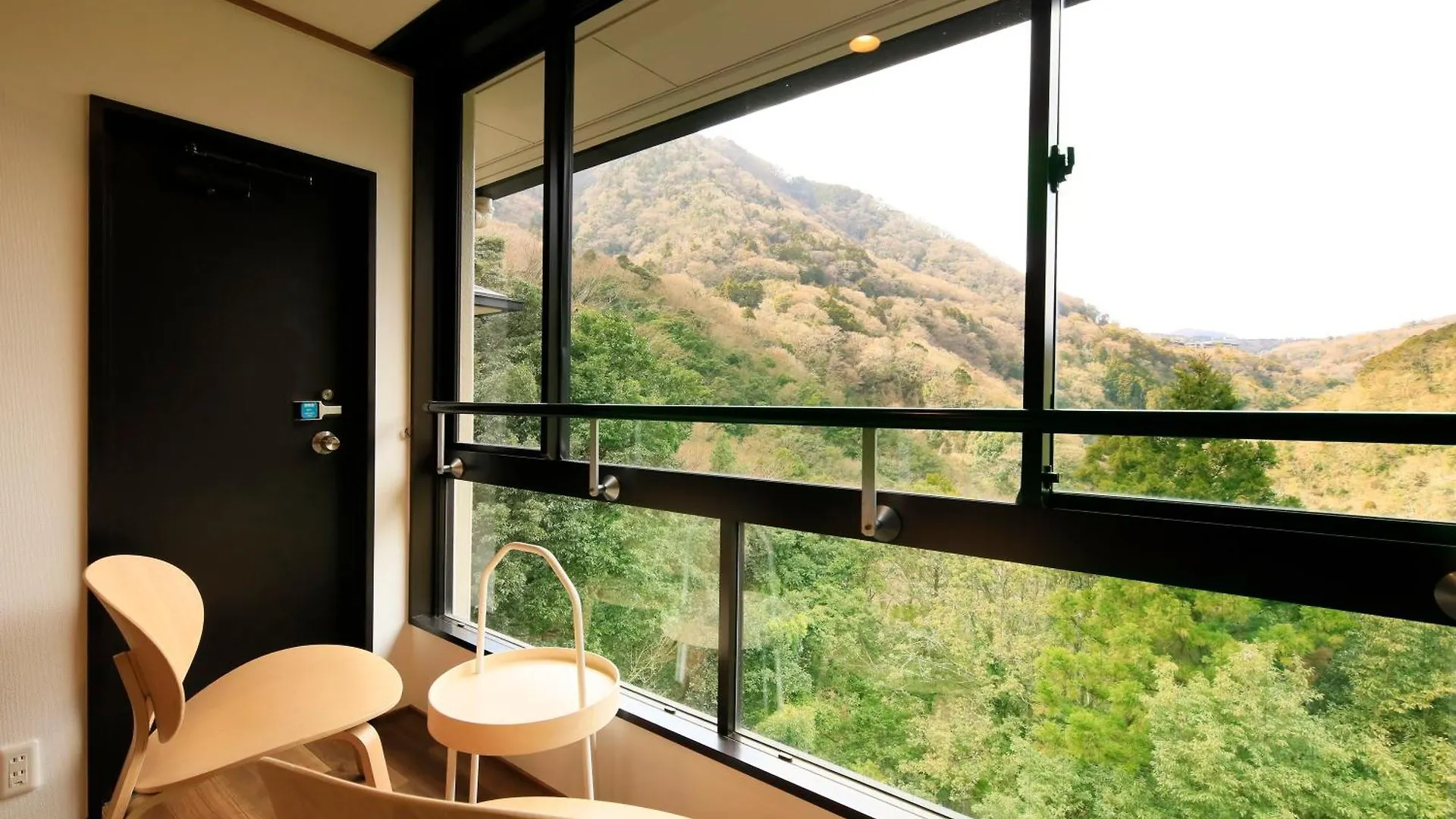 Hot Spring Inn Hakone Suisen